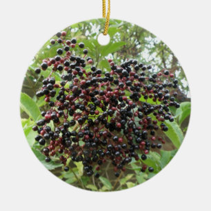 Ripening Elderbär Ornament