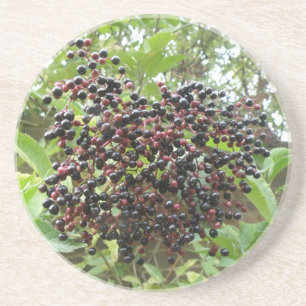 Ripening Elderbär Underläggs Underlägg