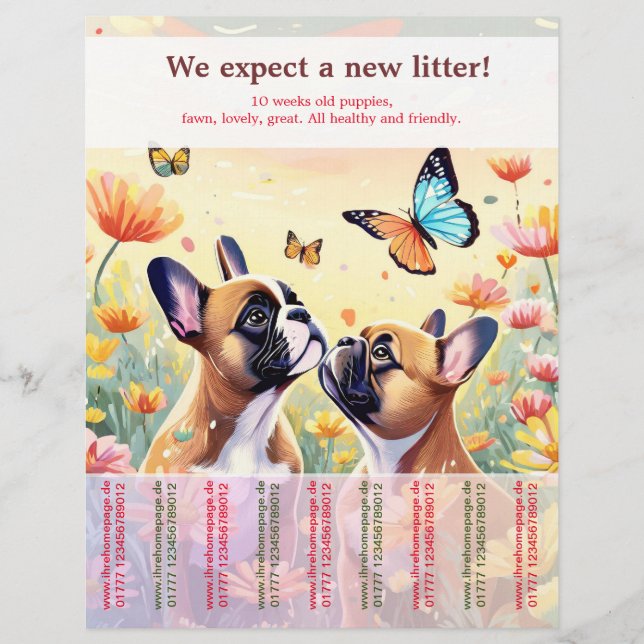 Ripp av Fransk Bulldog Puppies Flyer (Framsidan)