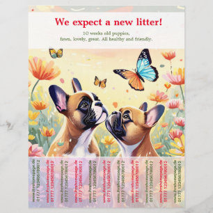 Ripp av Fransk Bulldog Puppies Flyer