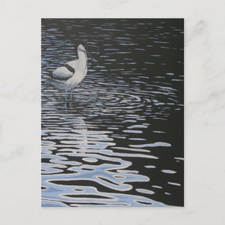Rippel och Avocet i kontrast Vykort