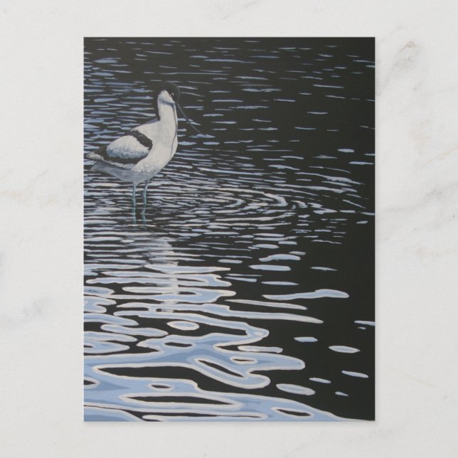 Rippel och Avocet i kontrast Vykort (Framsida)