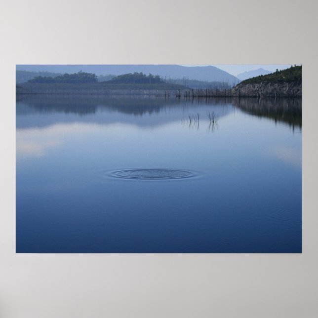 Ripple i Stilla Vatten - Poster (Framsidan)