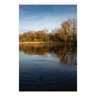 Ripple Sjö Fototryck