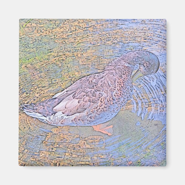 Ripples Magnet (Framsidan)