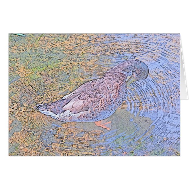 Ripples OBS Kort (Framsidan Horizontal)