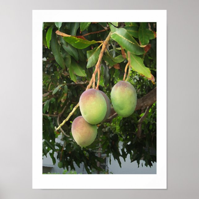 Rippning Poster (Framsidan)