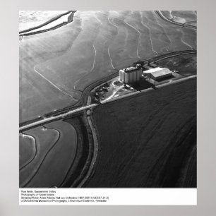 Ris Fält, Sacramento Valley, av Ansel Adams Poster