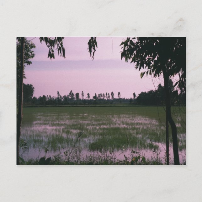 Ris Paddies Vykort (Framsida)