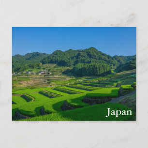 Ris Paddy Fält i Japan Vykort