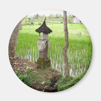 Ris Paddy, Temple, Ubud Bali, Indonesien Magnet