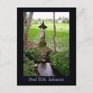 Ris Paddy, Temple, Ubud Bali, Indonesien Vykort