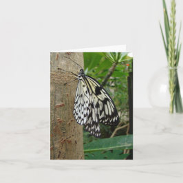 Ris Papper Butterfly Notecard Kort