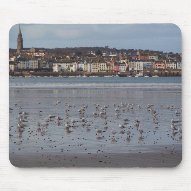Ris strand i Douarnenez Musmatta (Framsidan)