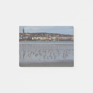 Ris strand i Douarnenez Post-it Block