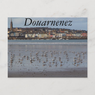Ris strand i Douarnenez Vykort