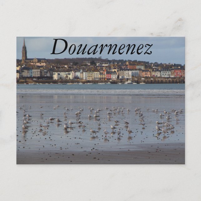 Ris strand i Douarnenez Vykort (Framsida)