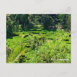 Ris Terraces of Bali, Indonesien Vykort