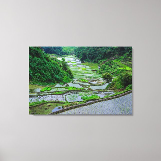Ris Terraces of Banaue, Luzon Canvastryck (Framsida)