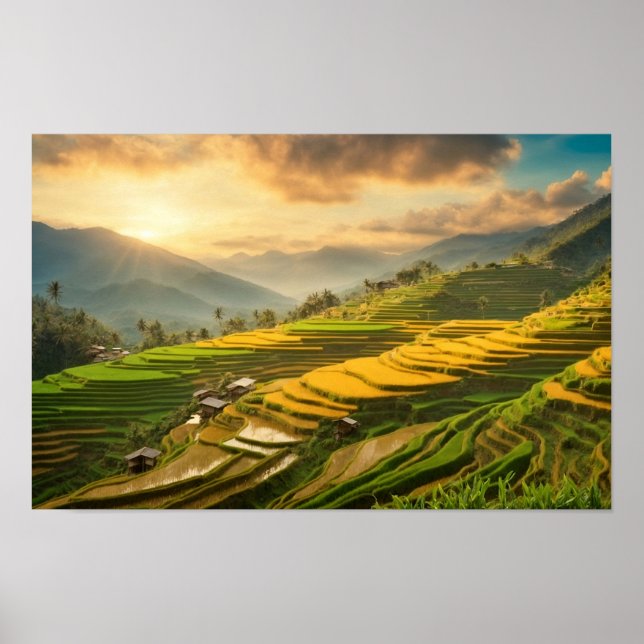 Ris Terraces Sunrise Poster (Framsidan)
