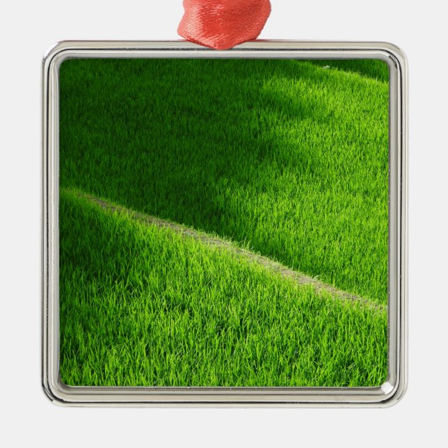 Ris Terraces Yamada's Ris Fält Japan Julgransprydnad Metall (Framsidan)