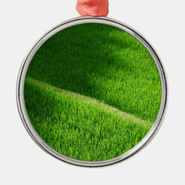 Ris Terraces Yamada's Ris Fält Japan Julgransprydnad Metall (Framsidan)