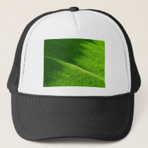 Ris Terraces Yamada's Ris Fält Japan