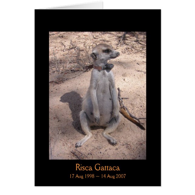 Risca legendkort hälsningskort (Framsidan)