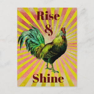 Rise and Shine Vykort
