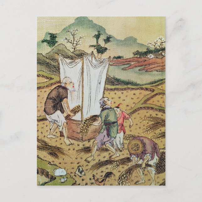 Risets historia vykort (Framsida)