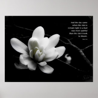 Risken för blodgivning poster