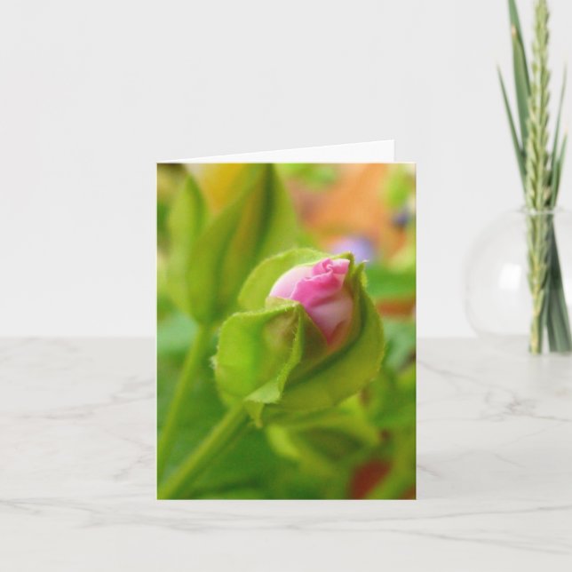 Riskera för att blomstra kort (Framsida)