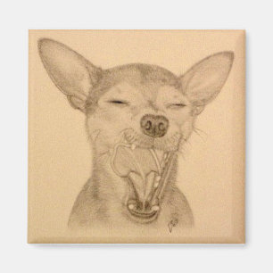 Riskera gäspningen för valpen för Chihuahuamagn Magnet