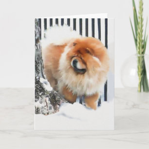 RISKERA I SNÖheARTdogchowen Kort