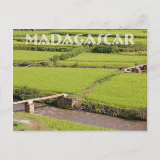 Rislandsbygd på Madagaskar Vykort
