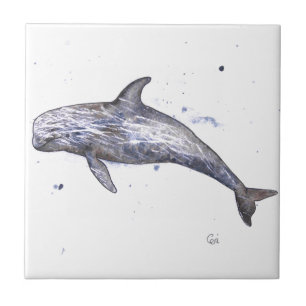 Risso delfinillustration kakelplatta