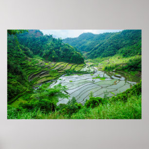 Rissterrasslandscape, Filippinerna Poster