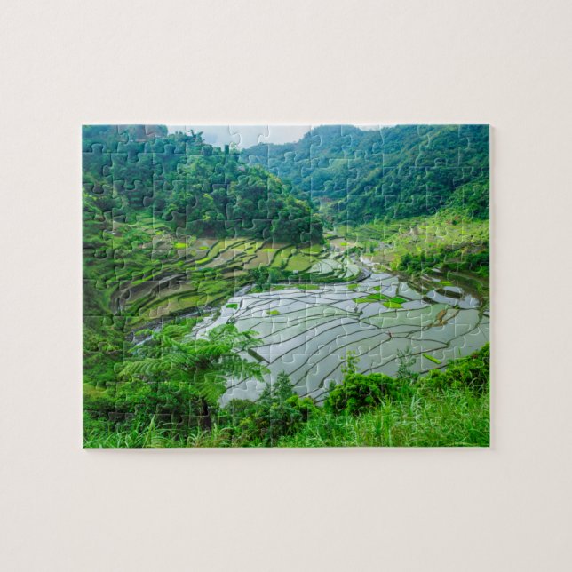 Rissterrasslandscape, Filippinerna Pussel (Horisontell)