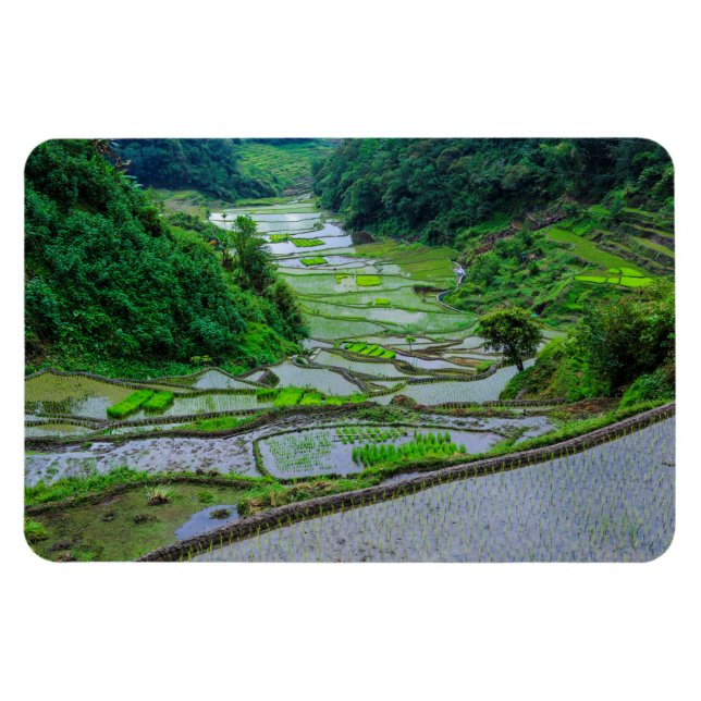 Risterrasserna i Banaue, Luzon Magnet (Horisontell)
