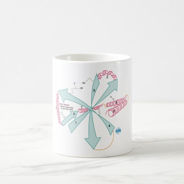 Rita den för att känna till den tertiära strukture kaffemugg (Center)
