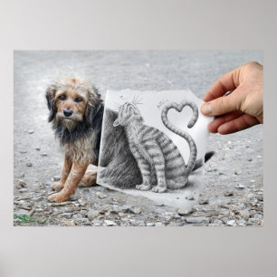 Rita Vs kamera - hunden och katten Poster
