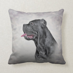Ritad hund Cane Corso - italiensk mastiff Kudde