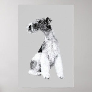 Ritning av Fox Terrier Poster