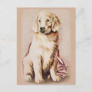 Ritning av porträtt av valp av rasen Golden Retrie Vykort