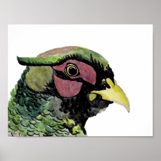 Ritratto di Fagiano Poster