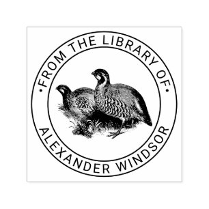 Ritsocka Fågel Ritning Bibliotek Boknamn Självfärgande Stämpel