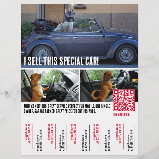 Riv av Tårar Bil sälj Flyer (Framsidan)