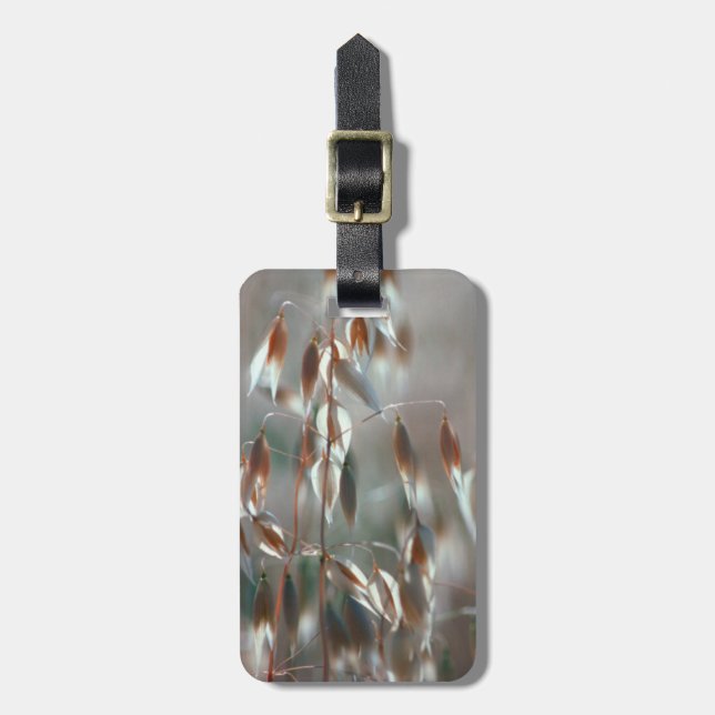 Riva havre (Avena Sativa) nära. Ceres, Boland Bagagebricka (Vertikal Framsida)