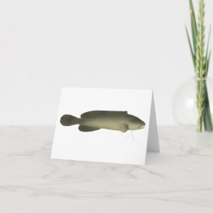 River Blackfish-utskrift, Poster Pappert (projekti Anteckningskort