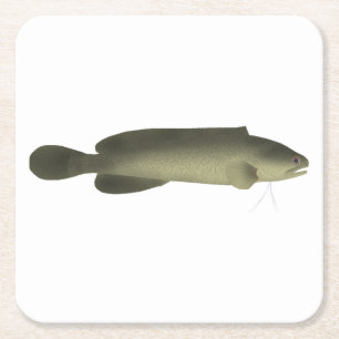 River Blackfish-utskrift, Poster Pappert (projekti Underlägg Papper Kvadrat